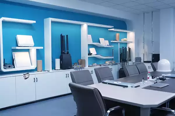 Professional Services